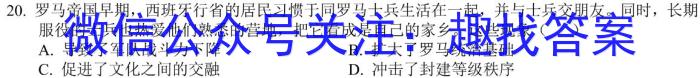 2024届云南省云师大附中高三年级第二次月考历史
