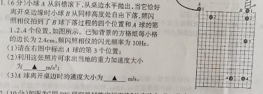 东北育才学校科学高中部2023-2024学年度高三高考适应性测试(一)-物理