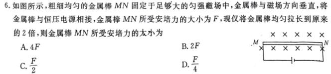 2024届广东省衡水金卷高三2月份大联考数学.考卷答案