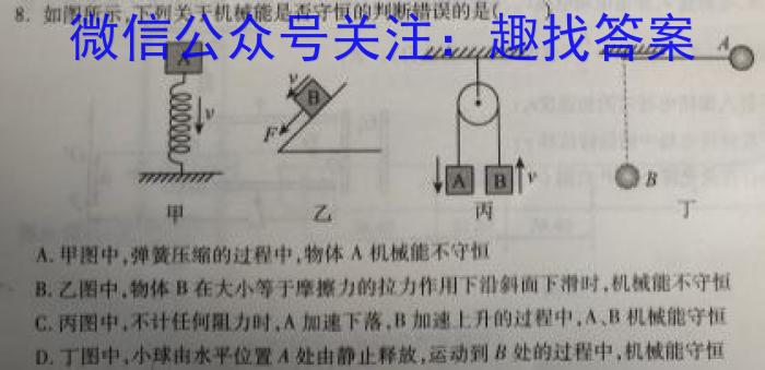 2024年衡阳市中考适应性考试试卷数学