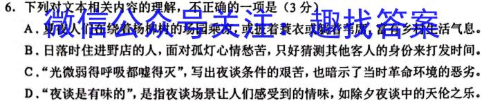 2024届安徽省A10联盟高三开学考试语文