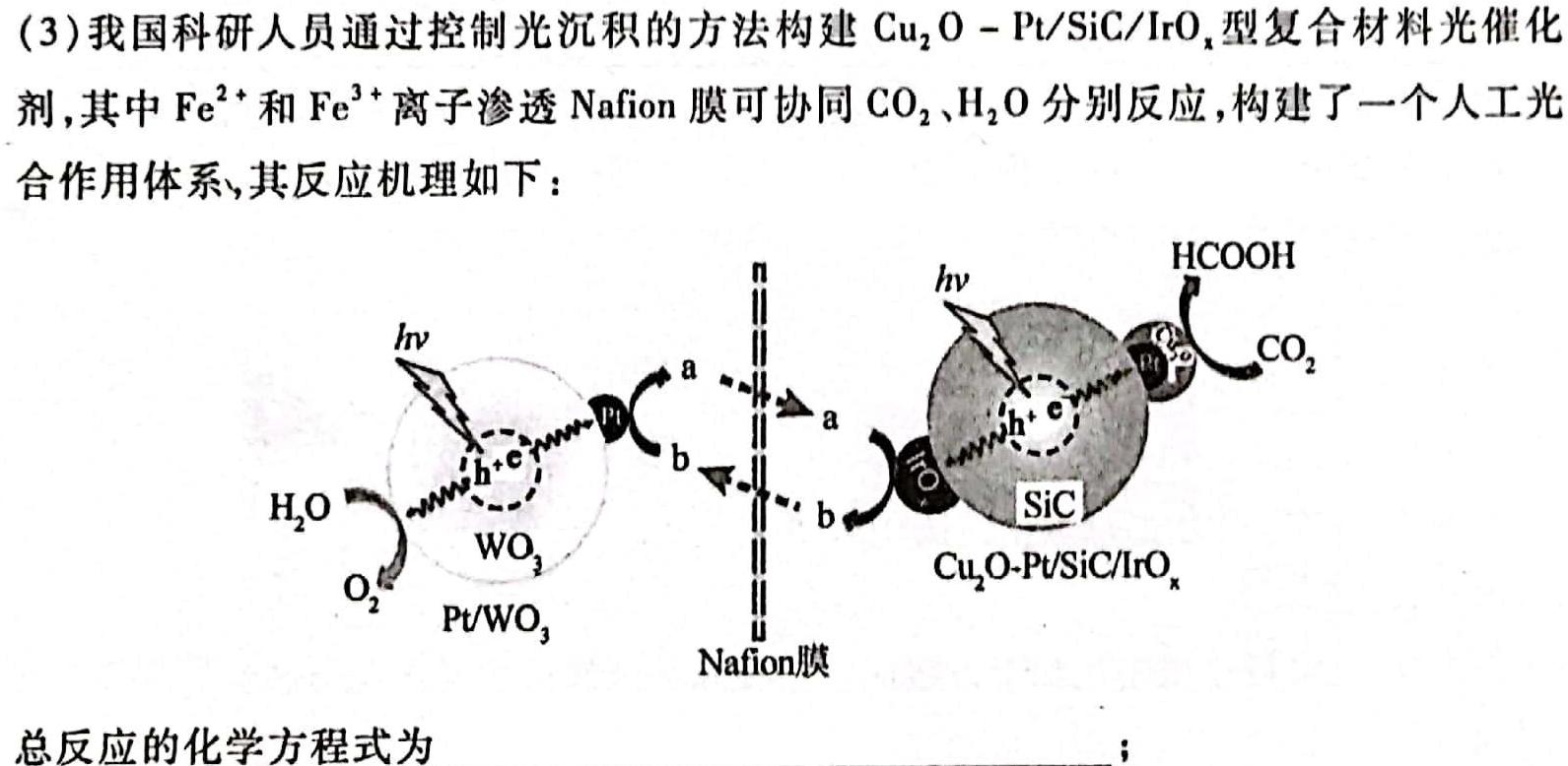 河南2024届高三年级8月入学联考（23-10C）语文试卷及参考答案化学