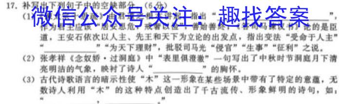 2024届云南省云师大附中高三年级第二次月考语文