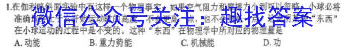 广东省2024届高三年级下学期2月联考数学