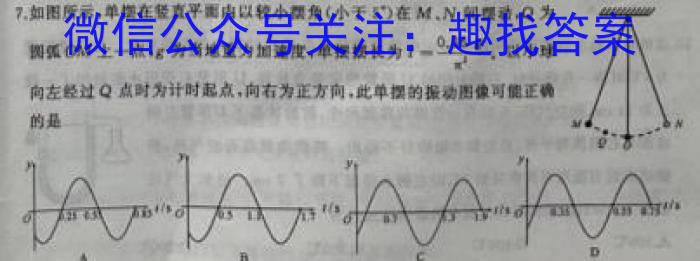 安徽省霍邱县2023-2024学年度九年级模拟考试数学