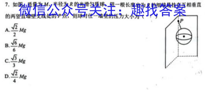 2024届陕西省九年级中考模拟检测(24-CZ152c)数学