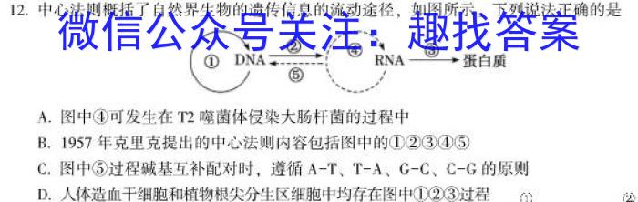 2024届广西南宁市普通高中高三上学期8月教学质量调研生物