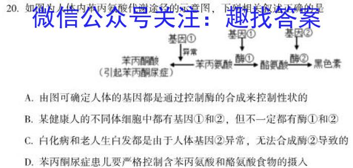 2024届广东省广州市高三8月调研（广州零模）生物
