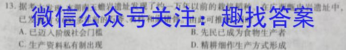 山西省忻州市2024-2023学年八年级第二学期期末教学质量监测（23-CZ261b）历史