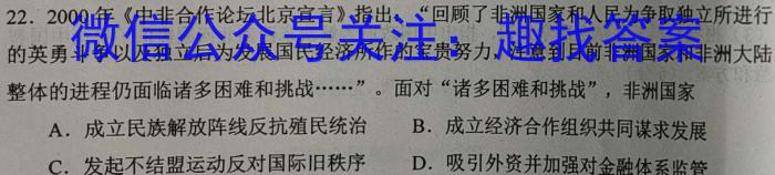 炎德 英才大联考2024届高三暑假作业检测试卷(CJ)历史