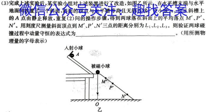 2024年广东省初中毕业生学业模拟考试(四)数学