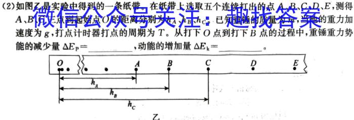 安徽省2024届九年级质量检测试卷（64）数学