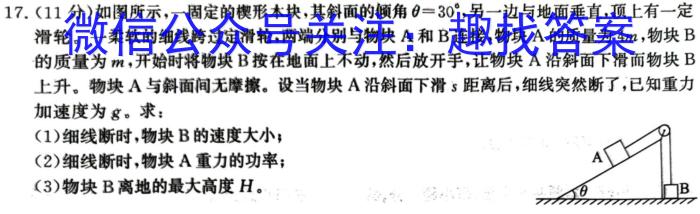 京师测评2024安徽省高三质量联合检测试卷(5.5)数学