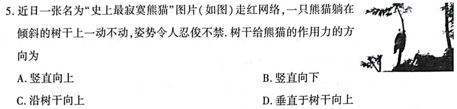 安徽省2023-2024学年度八年级上学期期末考试（第四次）数学.考卷答案