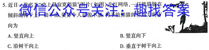 2024年陕西省初中学业水平考试冲刺(一)数学