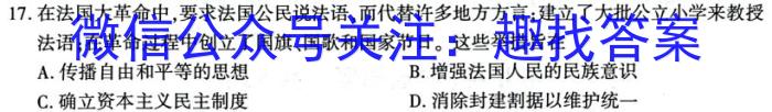 2024届广东省高三8月联考历史试卷