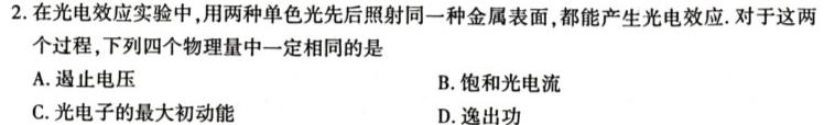 华大新高考联盟2024届高三11月教学质量测评(新教材卷)数学.考卷答案