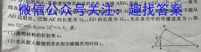 2024届河南省信阳高级中学高三高考模拟卷(十)数学