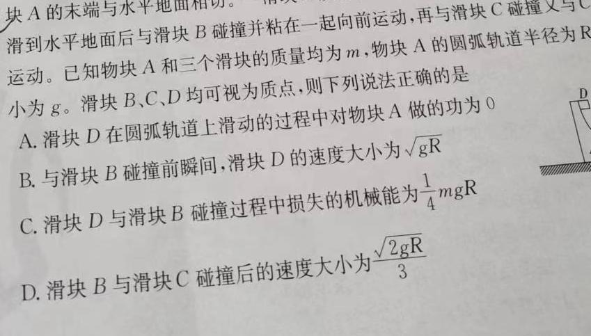 安徽省池州市2024-2025学年第一学期八年级开学考试题(数学)