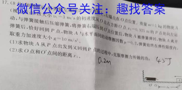 安徽省2023-2024学年度第二学期九年级作业辅导练习数学