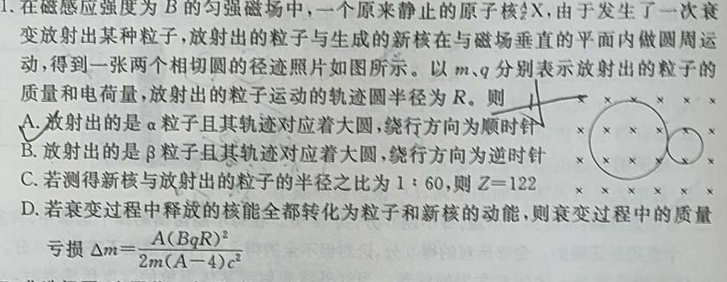 吉林省"通化优质高中联盟”2023~2024学年度高一上学期期中考试(24-103A)数学.考卷答案