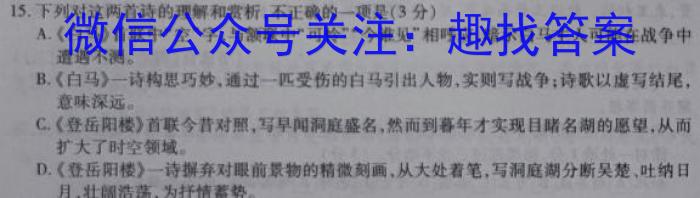 江淮十校2024届高三第一次联考（8月）地理试卷及参考答案语文