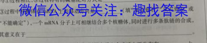 全国大联考 2024届高三第二次联考 2LK-N生物试卷答案