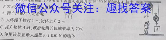 湘豫名校联考2024届高三上学期8月入学摸底考试物理`