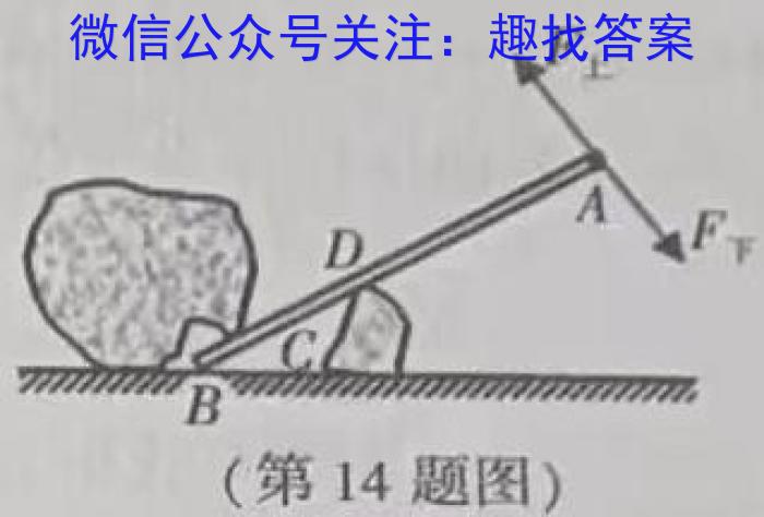 江西省新余市2023-2024年度上学期初二第二次阶段性练习数学