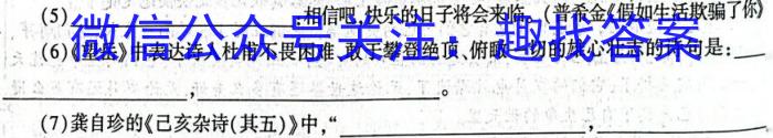 福建省漳州市2022-2023学年(下)高二期末高中教学质量检测语文