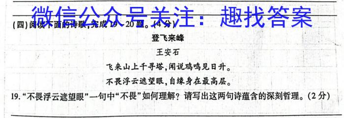 2024届安徽T12教育九年级第一次调研模拟卷语文