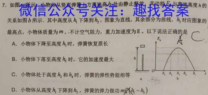 广东省2023-2024学年度高二年级11月联考数学