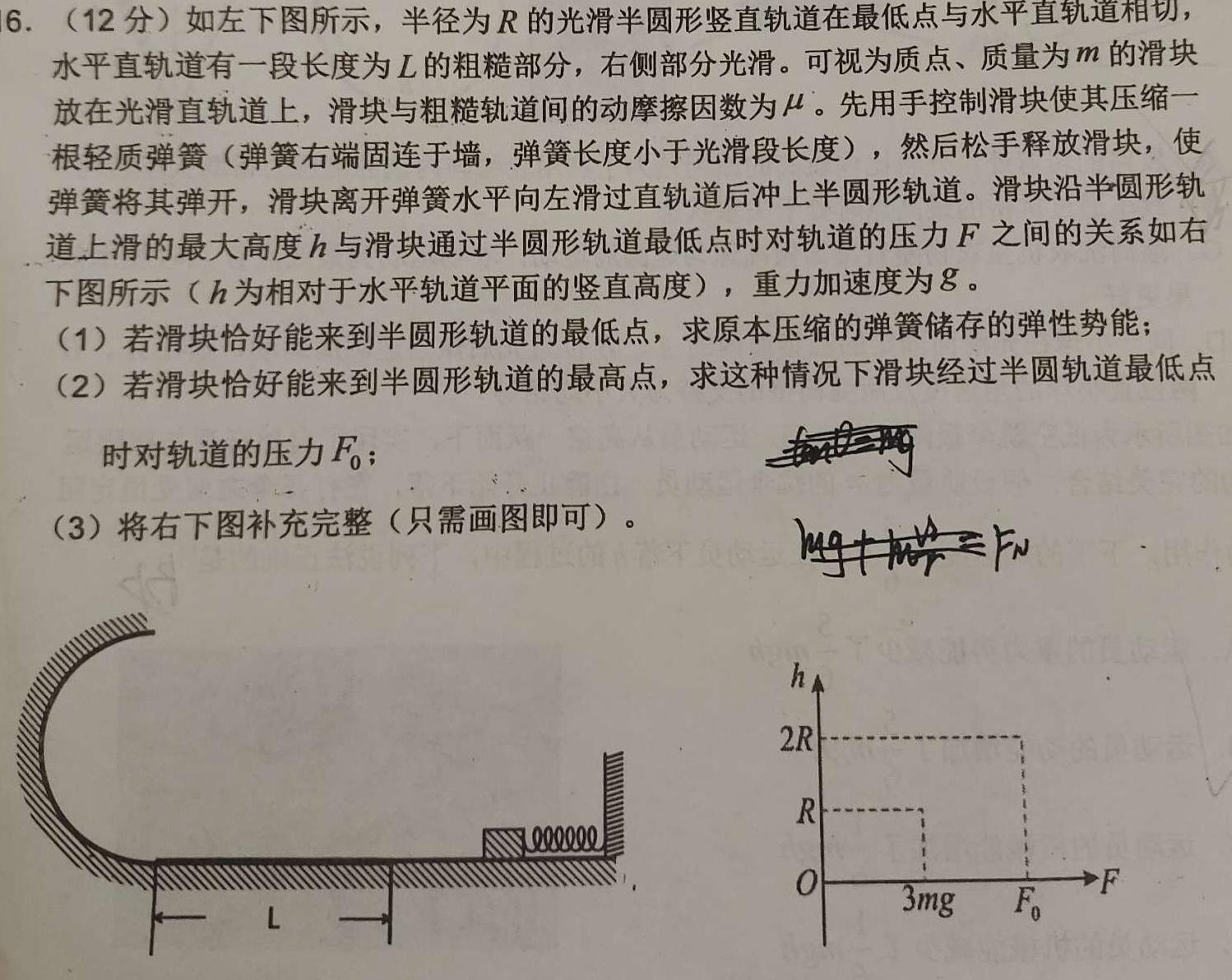 2024年普通高等学校招生全国统一考试压轴卷(T8联盟)(二)数学.考卷答案