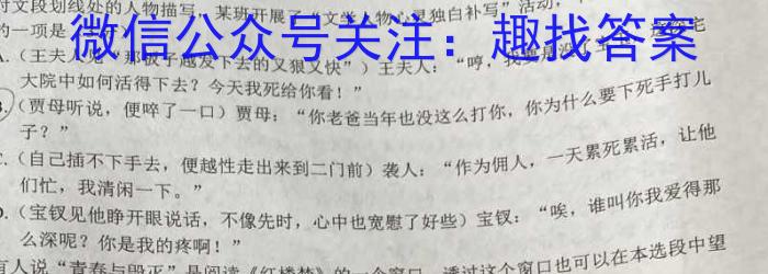 2024届贵州省六校联盟高考实用性联考(一)语文