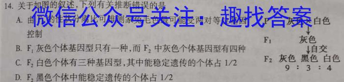 湖北省2024届高三年级8月联考（24-03C）生物试卷答案