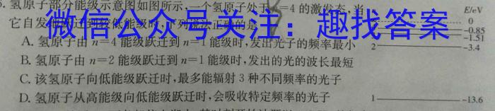 稳派大联考2023-2024学年高一年级上学期1月期末联考数学