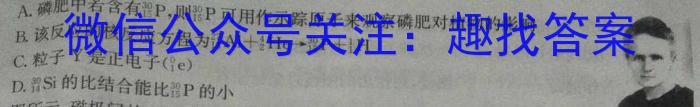 陕西省2023~2024学年八年级上学期阶段性学情分析(三)3数学