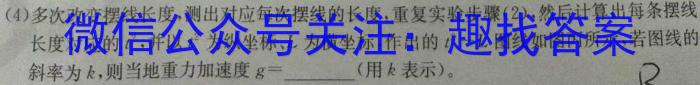 江西省2024年初中学业水平考试模拟卷(J区专用)(一)数学