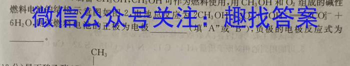 全国大联考2024届高三全国第一次联考 1LK-QG化学