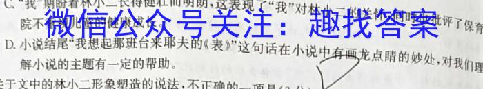 2024届湖南省高考一轮复习核心素养测评卷(三)语文