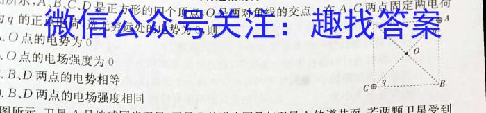 陕西省汉中市2024届高三年级教学质量第一次检测考试(12月)数学