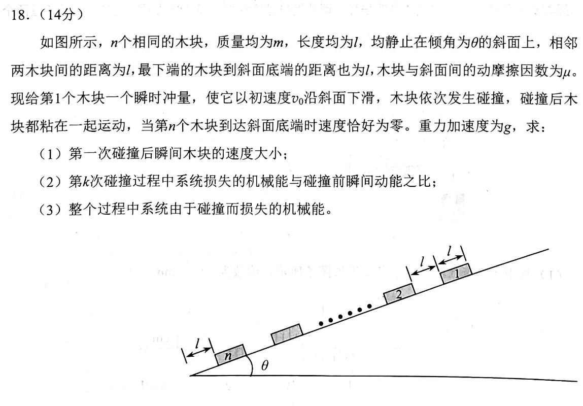 2024届河北省高三年级12月联考(24-228C)数学.考卷答案