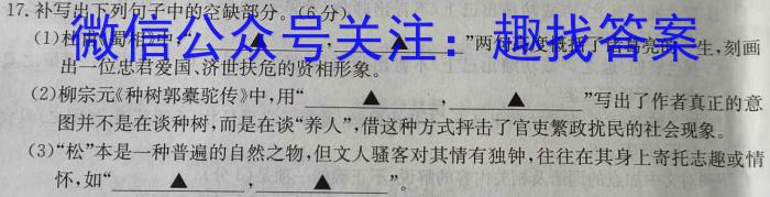 河南省漯河市高级中学2023-2024学年高三上学期开学摸底考试语文
