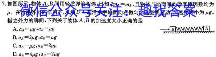 陕西省2024年九年级仿真模拟示范卷 SX(一)英语