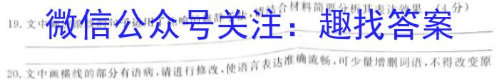 河北省2024届高三年级八月入学联考语文