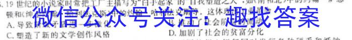 河南2024届高三年级8月入学联考（23-10C）文科数学试卷及参考答案历史