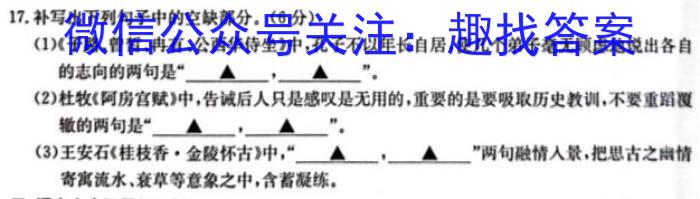 安徽省2024届九年级阶段评估1L R(一)语文
