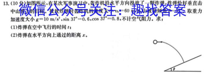 山东普高大联考高一11月联合质量测评数学