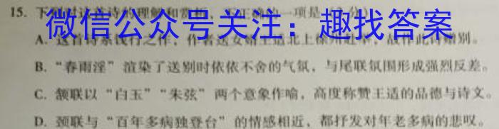 青海省2024-2023学年高一年级第二学期大通县期末联考(231775Z)语文