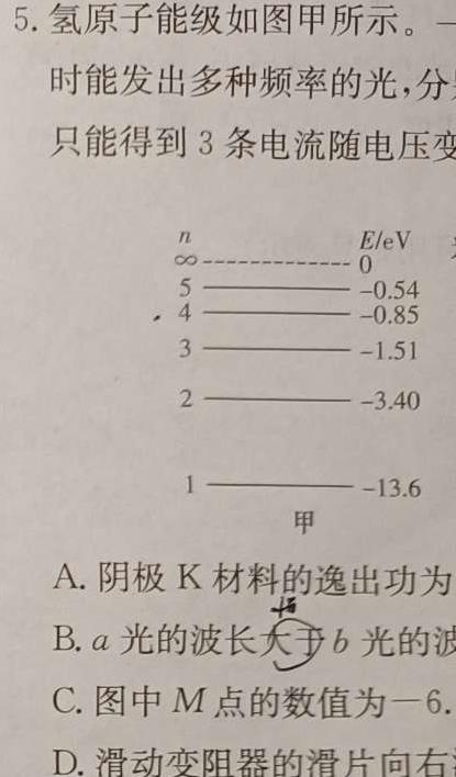 乐山市高中2025届教学质量检测（期末考试）试题(数学)